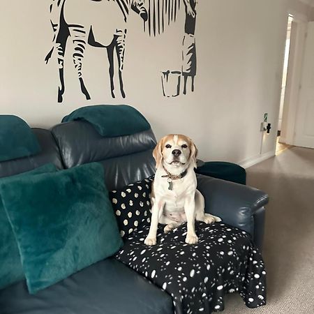 Hereford - Finch House - Modern 4 Bedroom House Located In South Hereford, Dog Friendly With Nearby Countryside, Pool Table, Sleeps Up To 10 Guests - Hosted By Rentmyhouse Kültér fotó