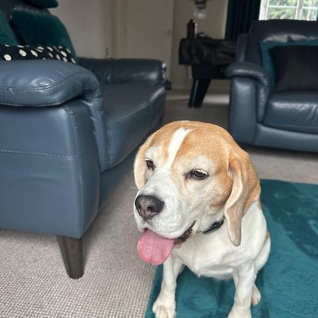 Hereford - Finch House - Modern 4 Bedroom House Located In South Hereford, Dog Friendly With Nearby Countryside, Pool Table, Sleeps Up To 10 Guests - Hosted By Rentmyhouse Kültér fotó